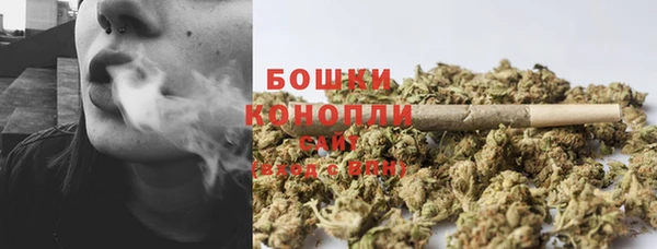 прущие грибы Алексин