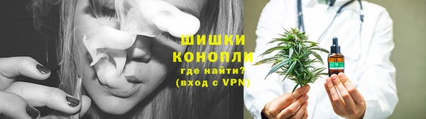 прущие грибы Алексин