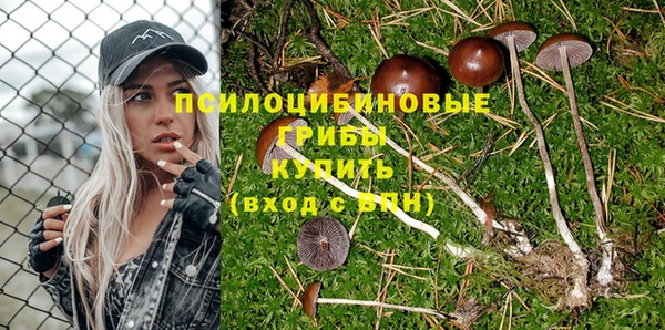 PSILOCYBIN Алексеевка