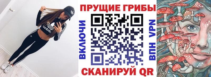 Галлюциногенные грибы Psilocybine cubensis  хочу   Подольск 