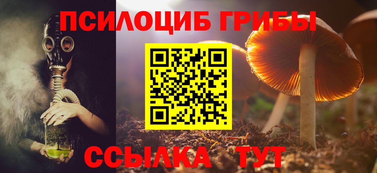Галлюциногенные грибы Magic Shrooms Подольск